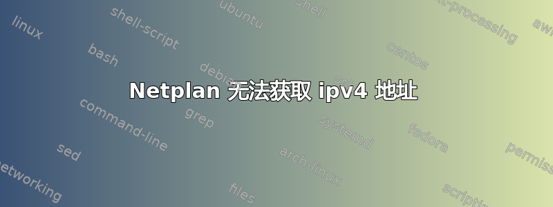 Netplan 无法获取 ipv4 地址