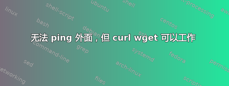 无法 ping 外面，但 curl wget 可以工作