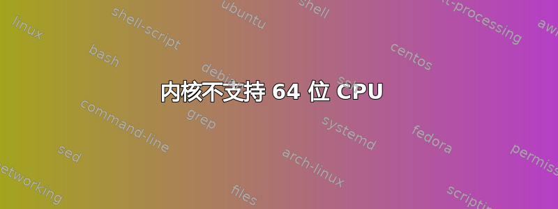 内核不支持 64 位 CPU 