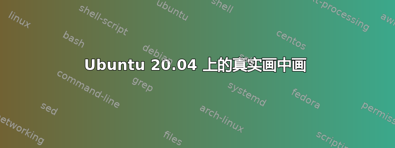 Ubuntu 20.04 上的真实画中画