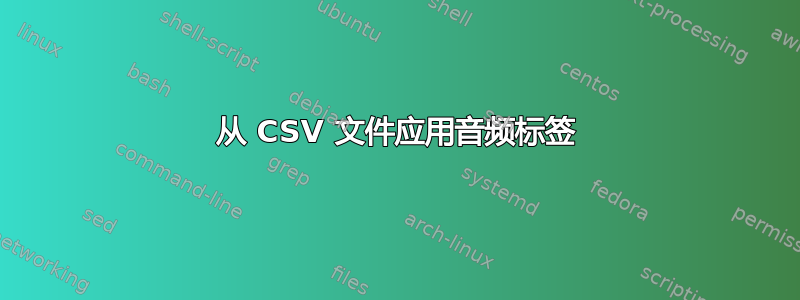 从 CSV 文件应用音频标签