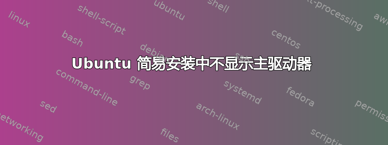 Ubuntu 简易安装中不显示主驱动器