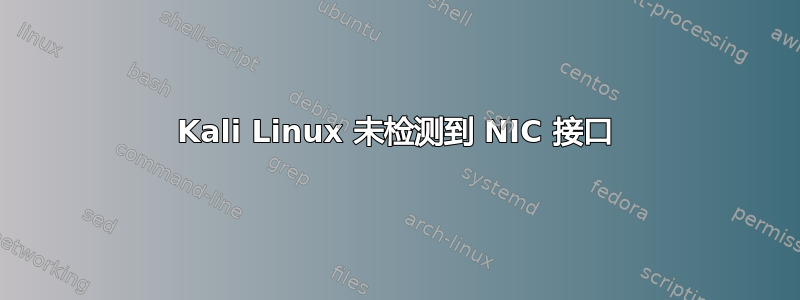 Kali Linux 未检测到 NIC 接口