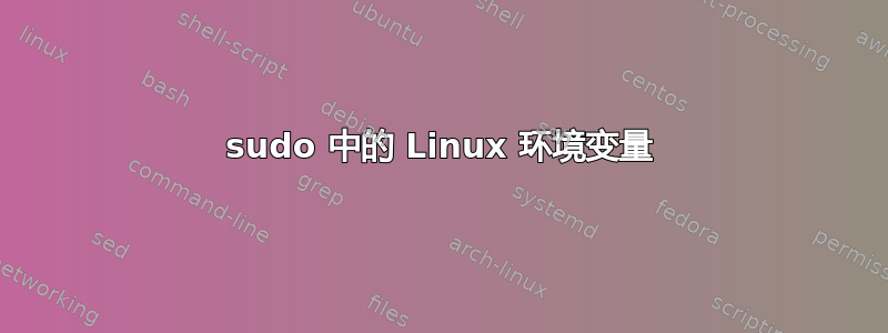 sudo 中的 Linux 环境变量