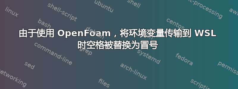 由于使用 OpenFoam，将环境变量传输到 WSL 时空格被替换为冒号