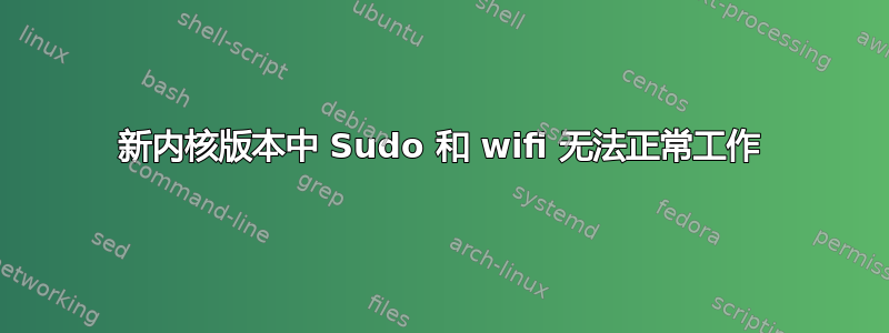 新内核版本中 Sudo 和 wifi 无法正常工作