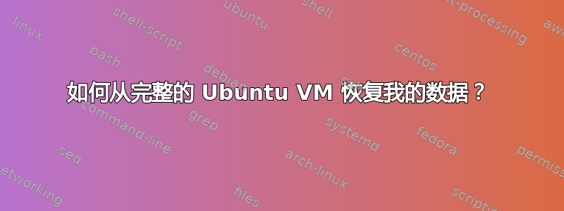 如何从完整的 Ubuntu VM 恢复我的数据？