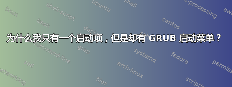 为什么我只有一个启动项，但是却有 GRUB 启动菜单？