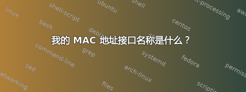 我的 MAC 地址接口名称是什么？