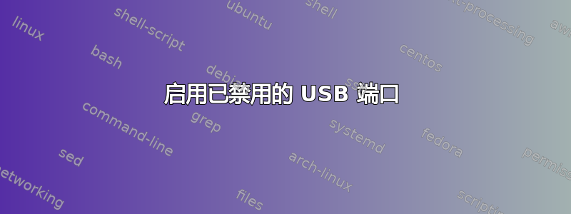 启用已禁用的 USB 端口