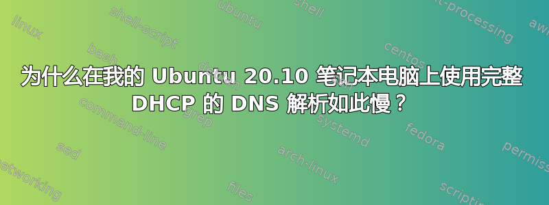 为什么在我的 Ubuntu 20.10 笔记本电脑上使用完整 DHCP 的 DNS 解析如此慢？