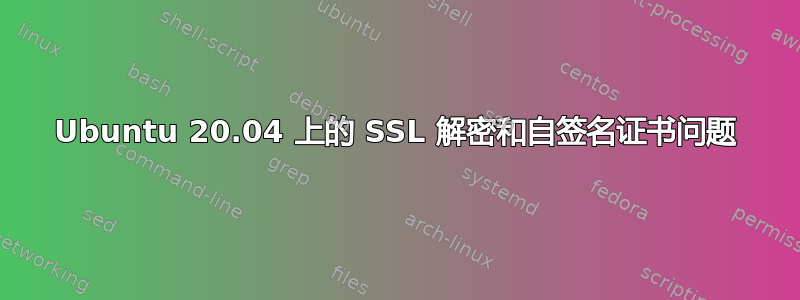 Ubuntu 20.04 上的 SSL 解密和自签名证书问题