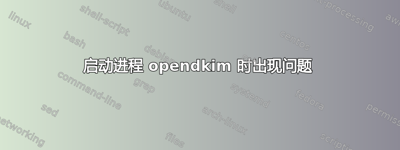 启动进程 opendkim 时出现问题