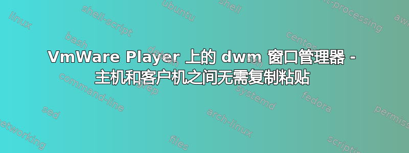 VmWare Player 上的 dwm 窗口管理器 - 主机和客户机之间无需复制粘贴