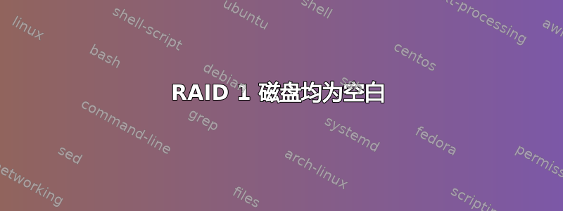 RAID 1 磁盘均为空白