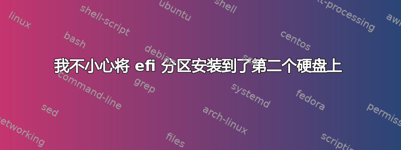 我不小心将 efi 分区安装到了第二个硬盘上