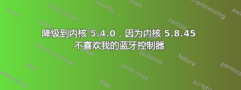 降级到内核 5.4.0，因为内核 5.8.45 不喜欢我的蓝牙控制器