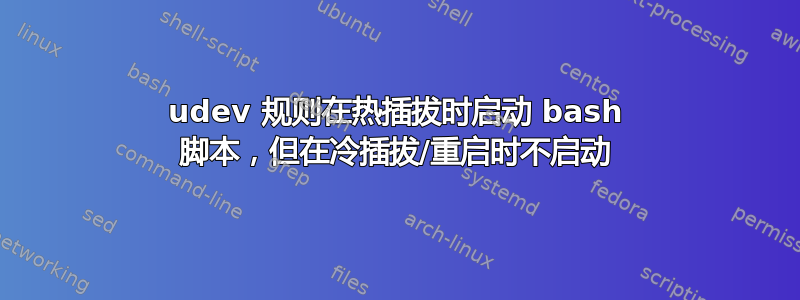 udev 规则在热插拔时启动 bash 脚本，但在冷插拔/重启时不启动