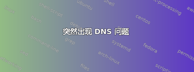 突然出现 DNS 问题