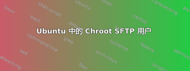 Ubuntu 中的 Chroot SFTP 用户