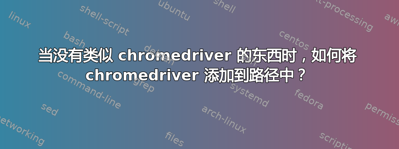 当没有类似 chromedriver 的东西时，如何将 chromedriver 添加到路径中？