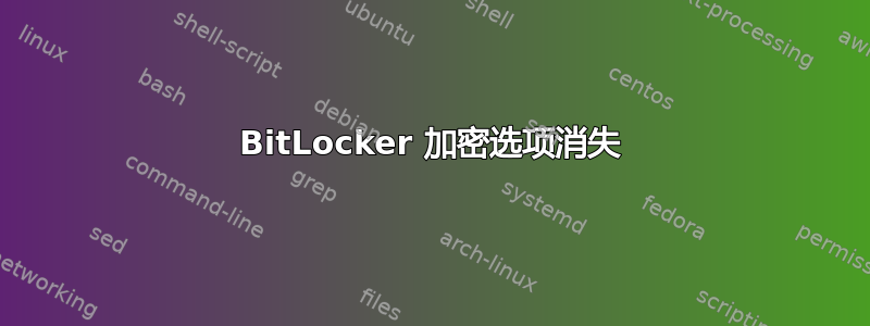 BitLocker 加密选项消失