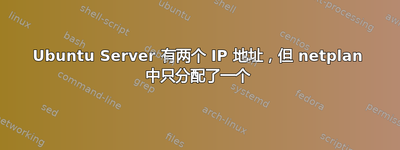 Ubuntu Server 有两个 IP 地址，但 netplan 中只分配了一个