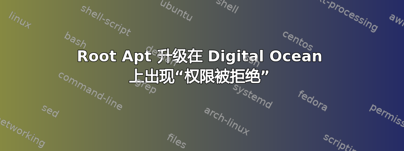 Root Apt 升级在 Digital Ocean 上出现“权限被拒绝”