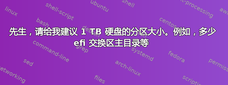 先生，请给我建议 1 TB 硬盘的分区大小。例如，多少 efi 交换区主目录等 