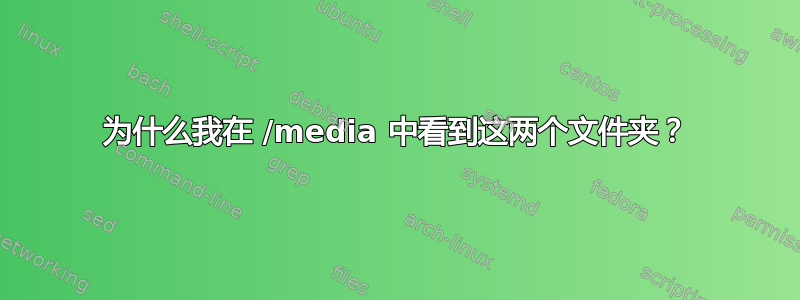 为什么我在 /media 中看到这两个文件夹？