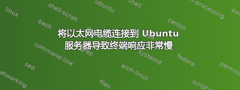 将以太网电缆连接到 Ubuntu 服务器导致终端响应非常慢