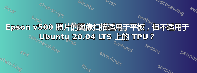 Epson v500 照片的图像扫描适用于平板，但不适用于 Ubuntu 20.04 LTS 上的 TPU？