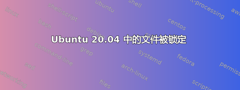 Ubuntu 20.04 中的文件被锁定