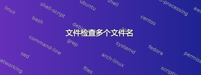 文件检查多个文件名