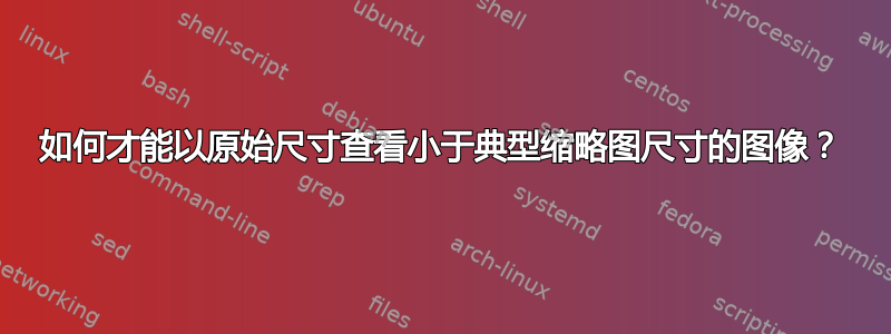 如何才能以原始尺寸查看小于典型缩略图尺寸的图像？