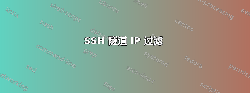 SSH 隧道 IP 过滤