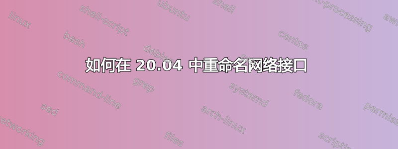 如何在 20.04 中重命名网络接口