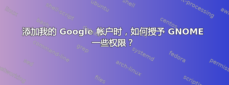 添加我的 Google 帐户时，如何授予 GNOME 一些权限？