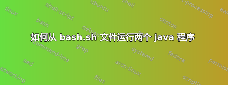 如何从 bash.sh 文件运行两个 java 程序