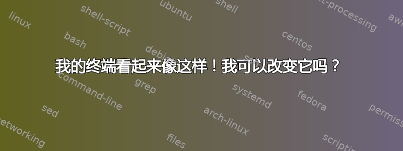 我的终端看起来像这样！我可以改变它吗？