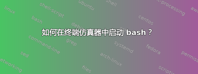 如何在终端仿真器中启动 bash？