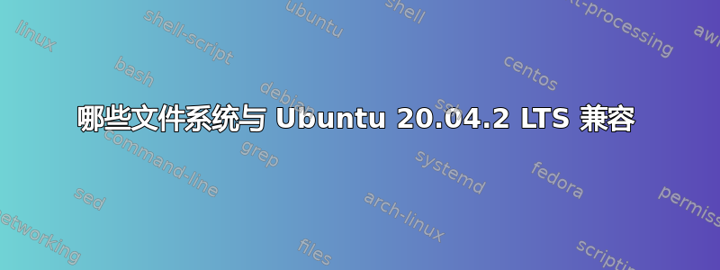 哪些文件系统与 Ubuntu 20.04.2 LTS 兼容