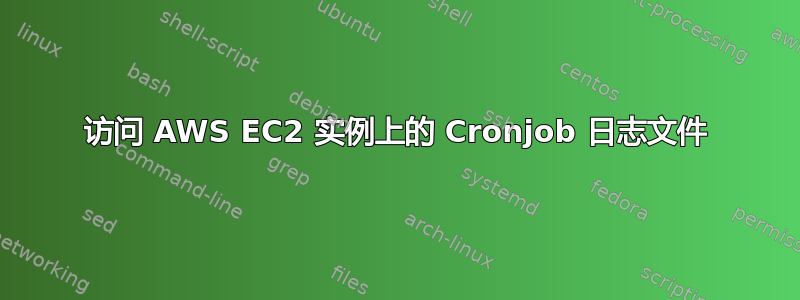 访问 AWS EC2 实例上的 Cronjob 日志文件