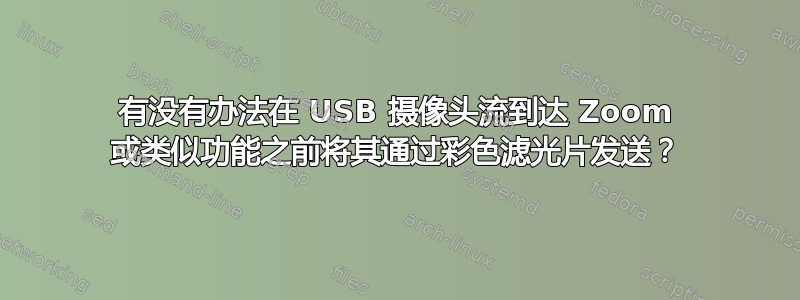 有没有办法在 USB 摄像头流到达 Zoom 或类似功能之前将其通过彩色滤光片发送？