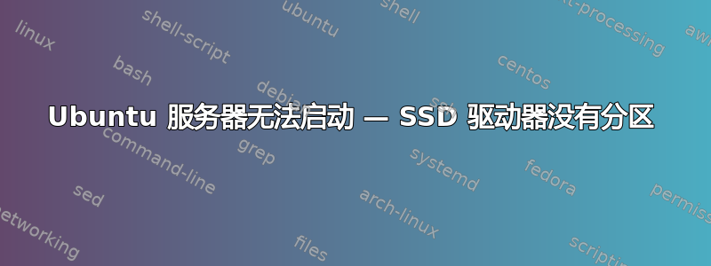 Ubuntu 服务器无法启动 — SSD 驱动器没有分区