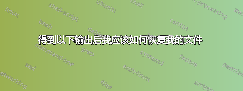 得到以下输出后我应该如何恢复我的文件