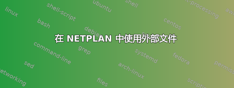 在 NETPLAN 中使用外部文件