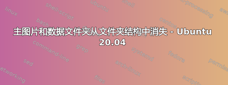 主图片和数据文件夹从文件夹结构中消失 - Ubuntu 20.04