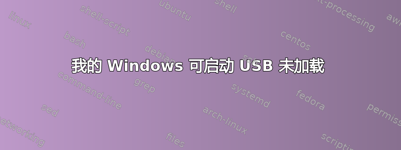 我的 Windows 可启动 USB 未加载