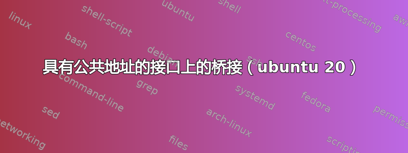 具有公共地址的接口上的桥接（ubuntu 20）